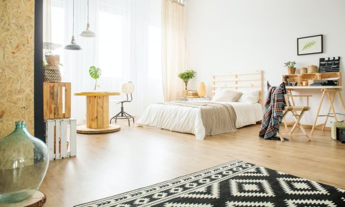 spacious-studio-apartment-1.jpg